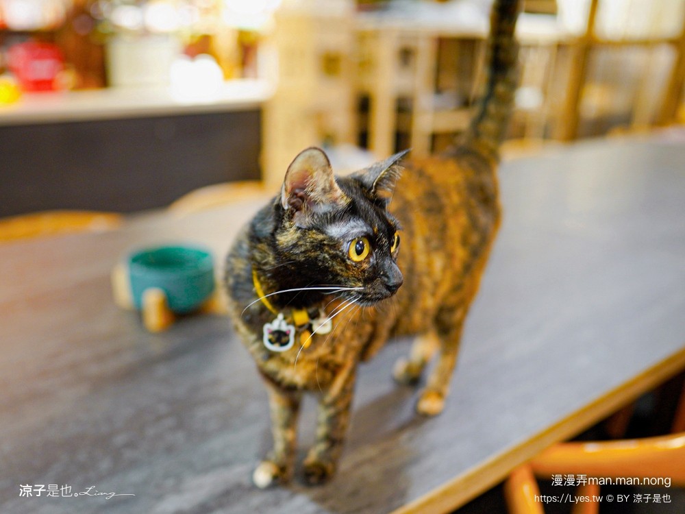 漫漫弄 菜單 台南南區美食 台南咖啡館 老宅餐廳 早午餐 義大利麵 漢堡 下午茶