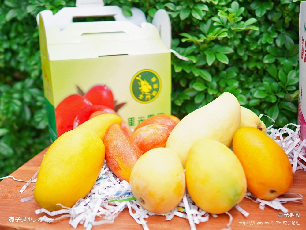 星光 親子景點 免費採果活動 台南農場 台南露營 diy 採芒果體驗 自然的鬥士