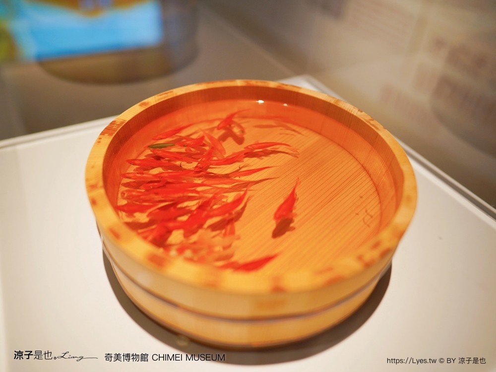 奇美博物館 台南景點 親子景點 特展 跳出格子吧 常設展7大廳 優惠