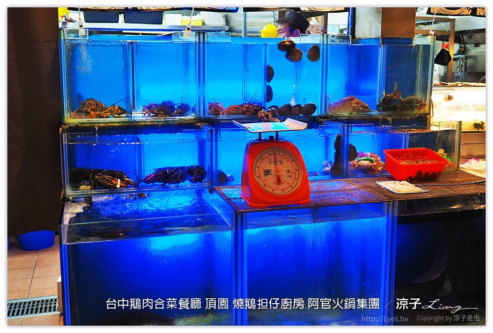 台中-頂園 燒鵝担仔廚房(太原店)阿官火鍋集團的鵝肉主題合菜餐廳