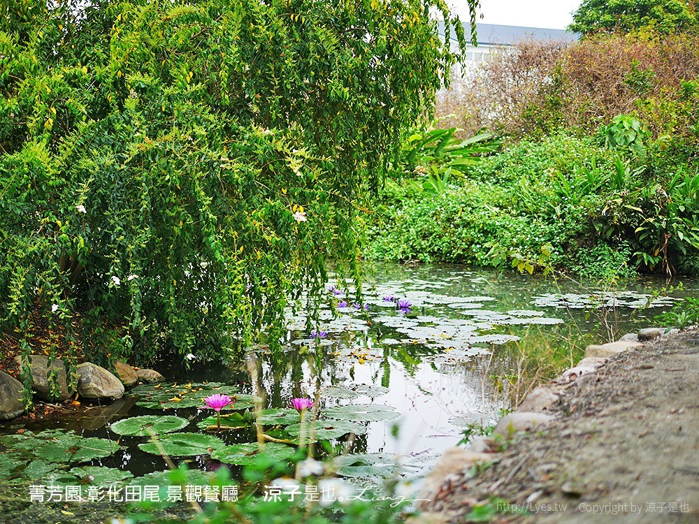 菁芳園 彰化田尾 景觀餐廳
