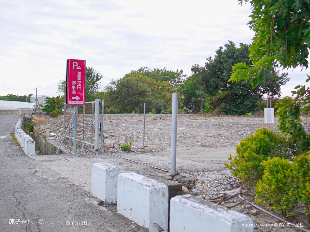 董家花田 菜單 門票 景點 彰化景點 田尾景觀餐廳 花海 戶外野餐 咖啡 交通