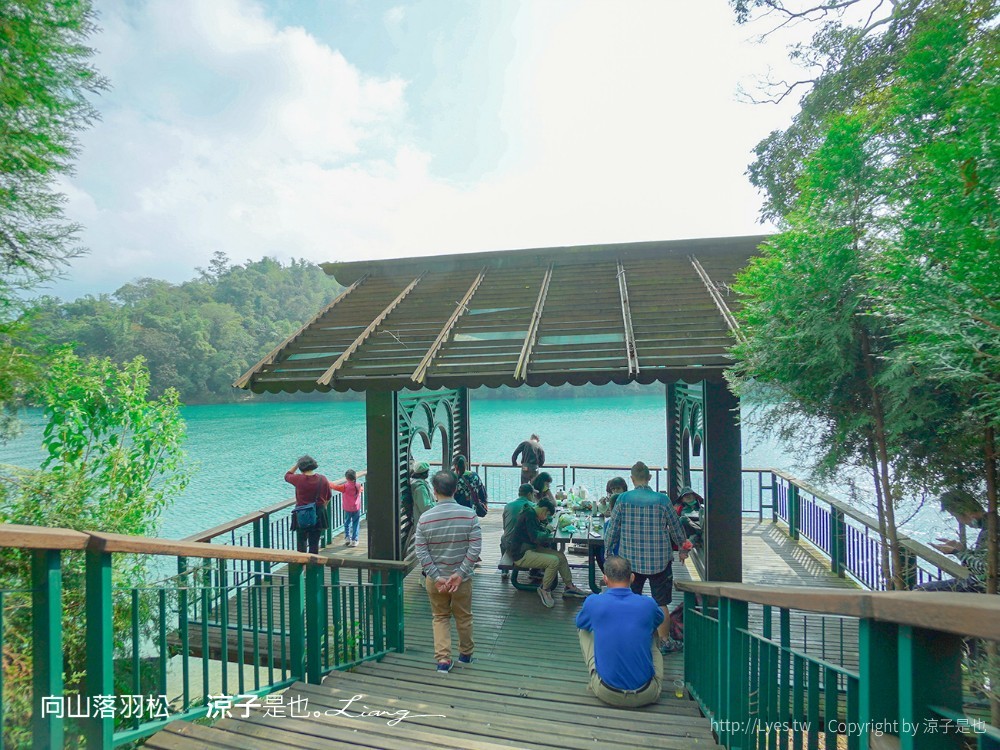 向山落羽松 日月潭自行車道 湖畔 落羽松步道 日月潭景點推薦 IG打卡 南投親子