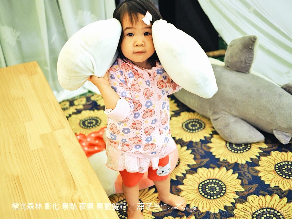 極光森林 彰化 景點 夜景 景觀餐廳