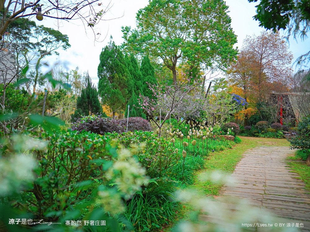 寨酌然野奢庄園 苗栗 親子住宿 villa 奢華懶人露營 露營車 早餐 晚餐 一泊二食 diy 苗栗泳池飯店 推薦
