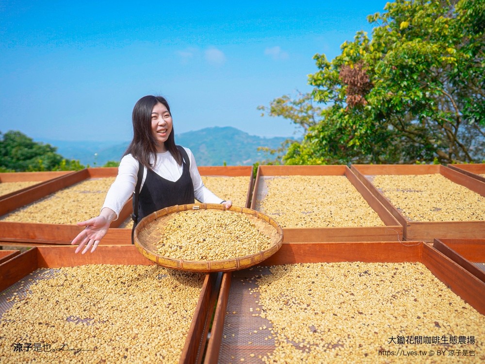 大鋤花間 咖啡生態農場 菜單 台南景點 台南東山175咖啡公路 咖啡館 景觀餐廳