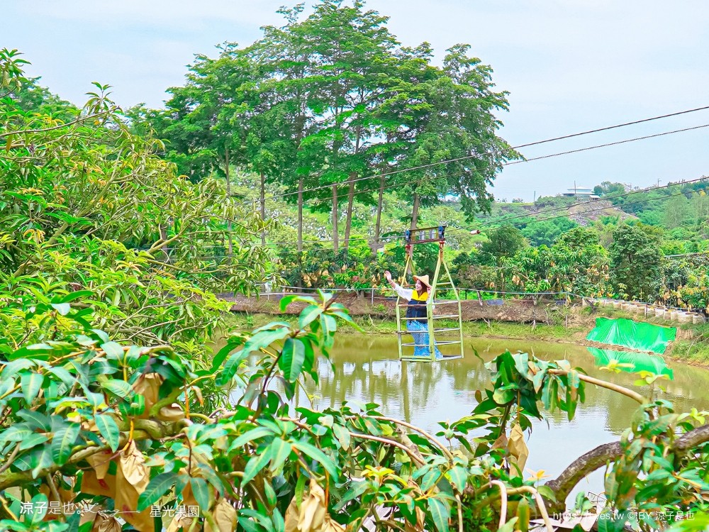 星光 親子景點 免費採果活動 台南農場 台南露營 diy 採芒果體驗 自然的鬥士