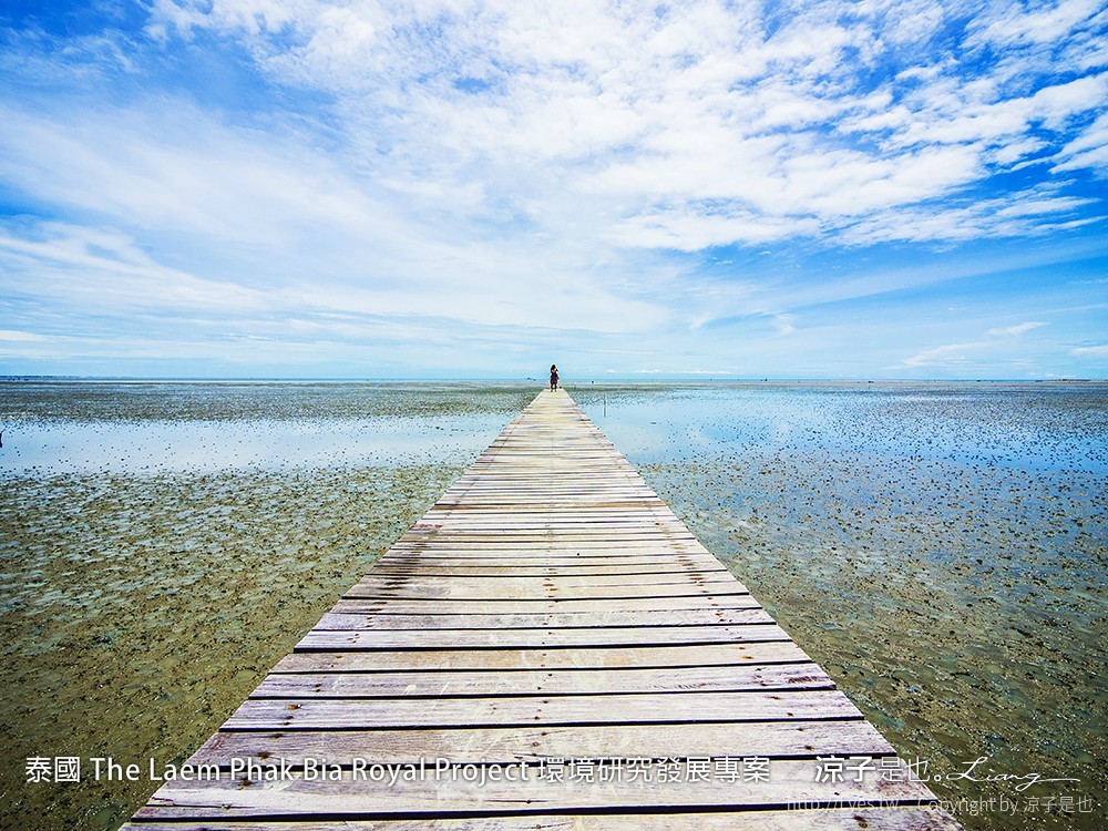 泰國 The Laem Phak Bia Royal Project 環境研究發展專案