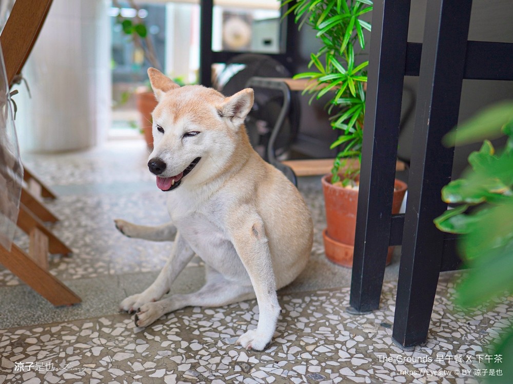 the grounds 菜單 屏東美食 早午餐 下午茶 玻璃屋 屏東景觀餐廳 老屋改建 庭園餐廳 ig打卡