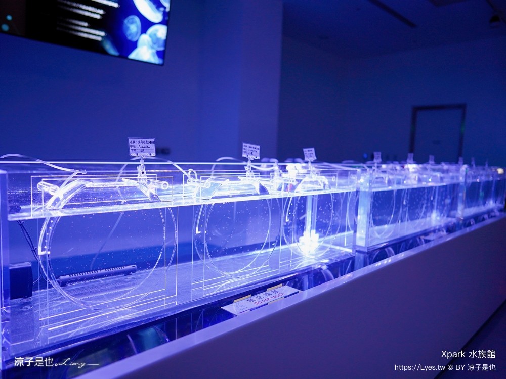 xpark水族館 門票優惠 桃園 親子景點 最新攻略 必看展區 美食餐廳 交通 停車 住宿