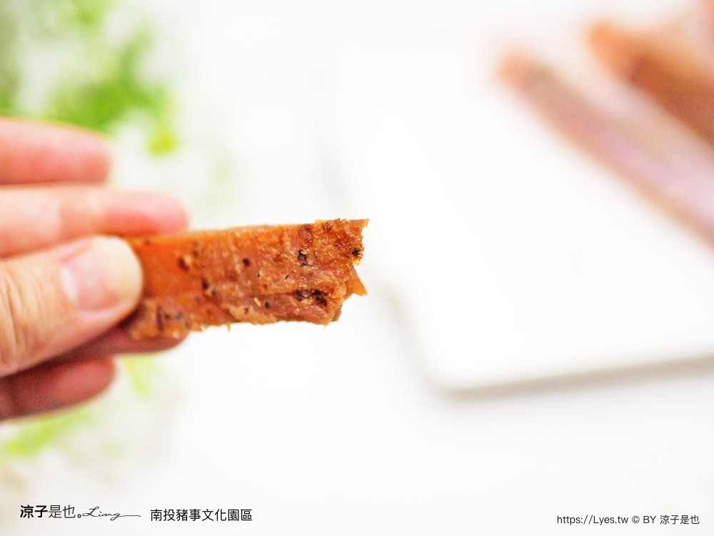 南投名間親子生態園區 南投親子公園 彩虹溜滑梯 盪鞦韆 免門票親子景點 野餐 天空步道 2022重新開幕