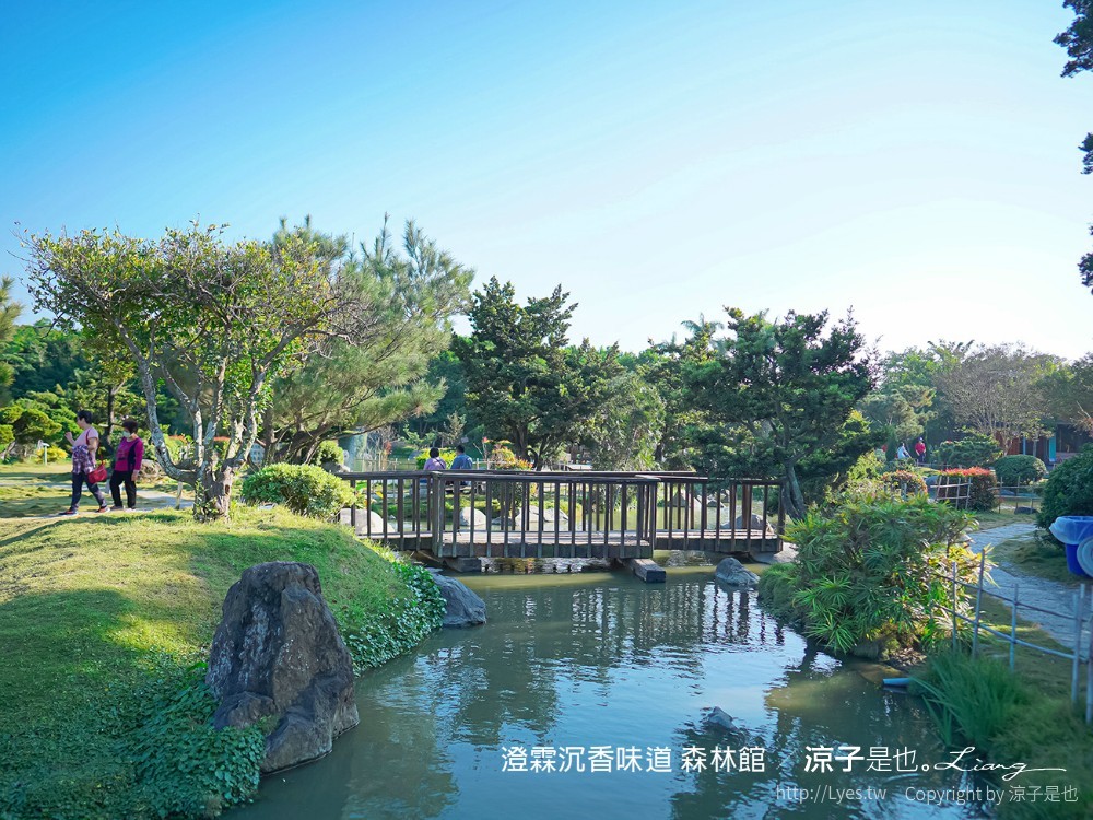 澄霖沉香味道森林館 雲林景點 愛心落羽松 湖畔步道 水之教堂 台版兼六園