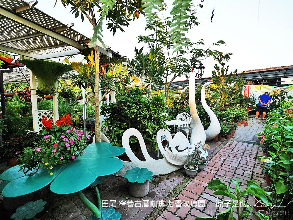 田尾 窄巷古厝咖啡 芳香玫瑰園