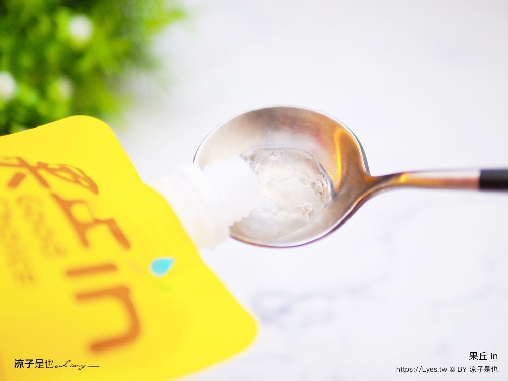 南投埔里 美食 埔里伴手禮 埔里必買 宅配美食 果丘in新品必買