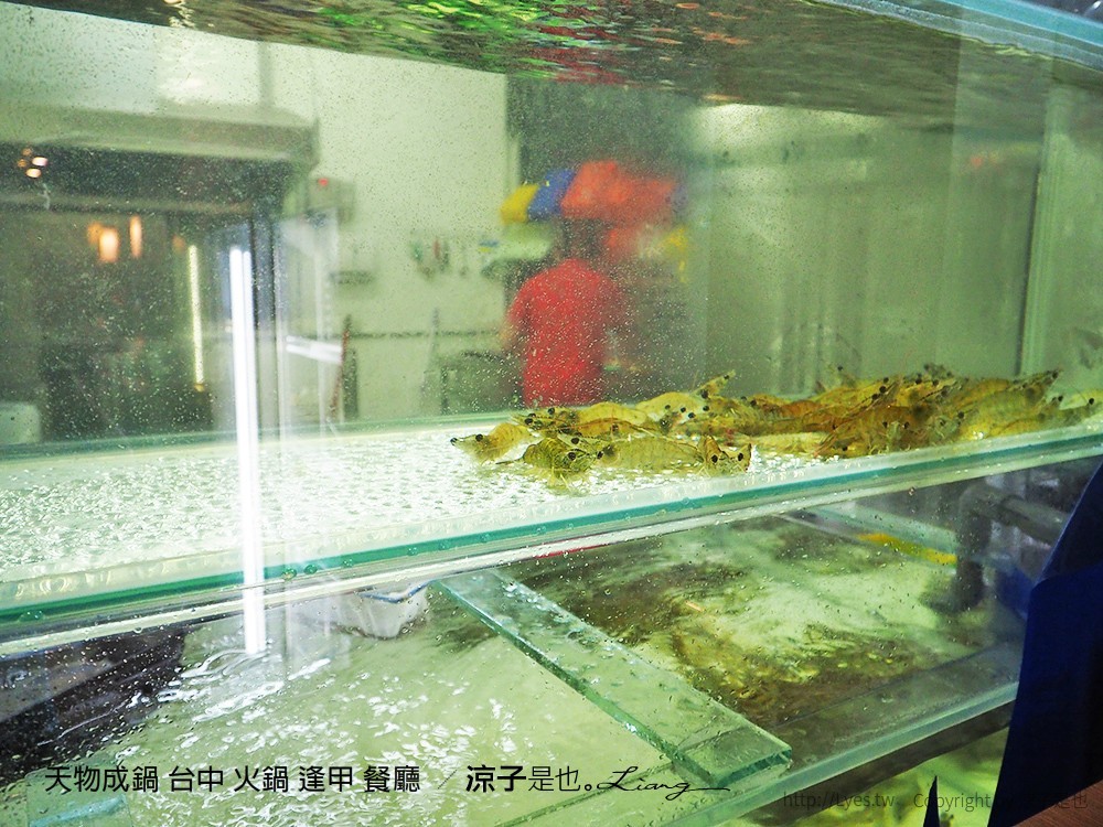 天物成鍋 台中 火鍋 逢甲 餐廳