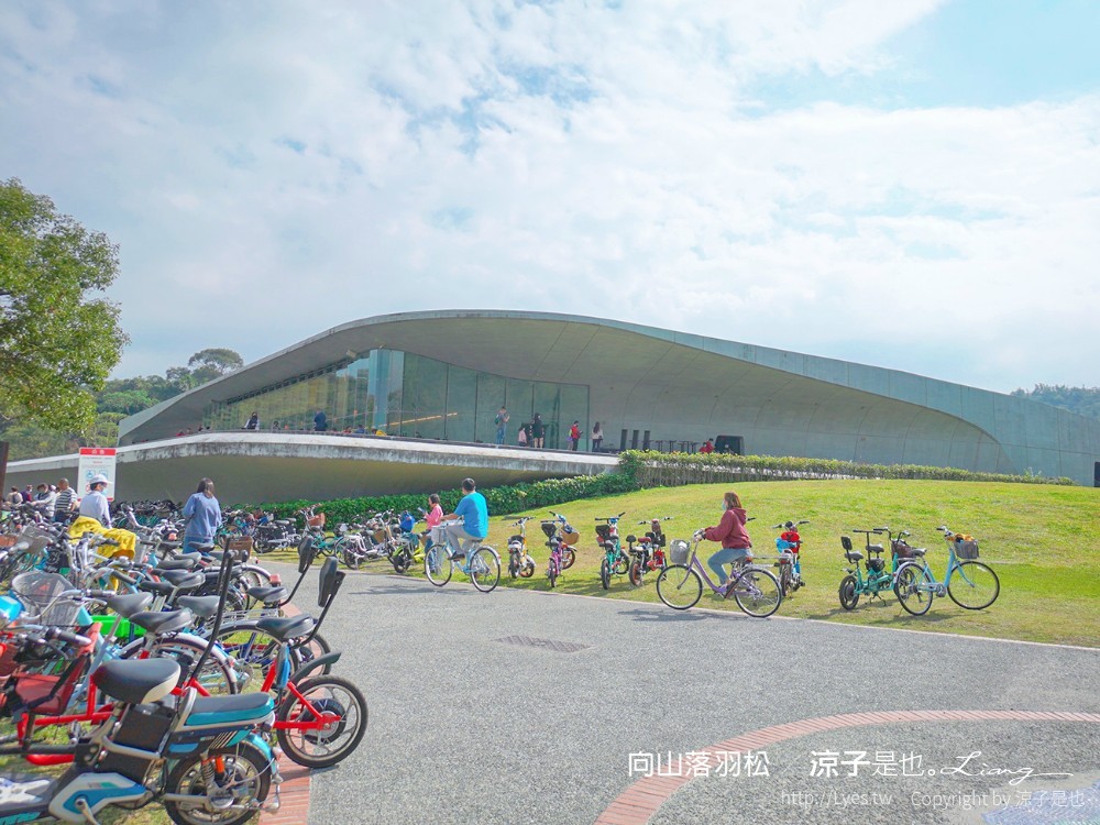 向山落羽松 日月潭自行車道 湖畔 落羽松步道 日月潭景點推薦 IG打卡 南投親子