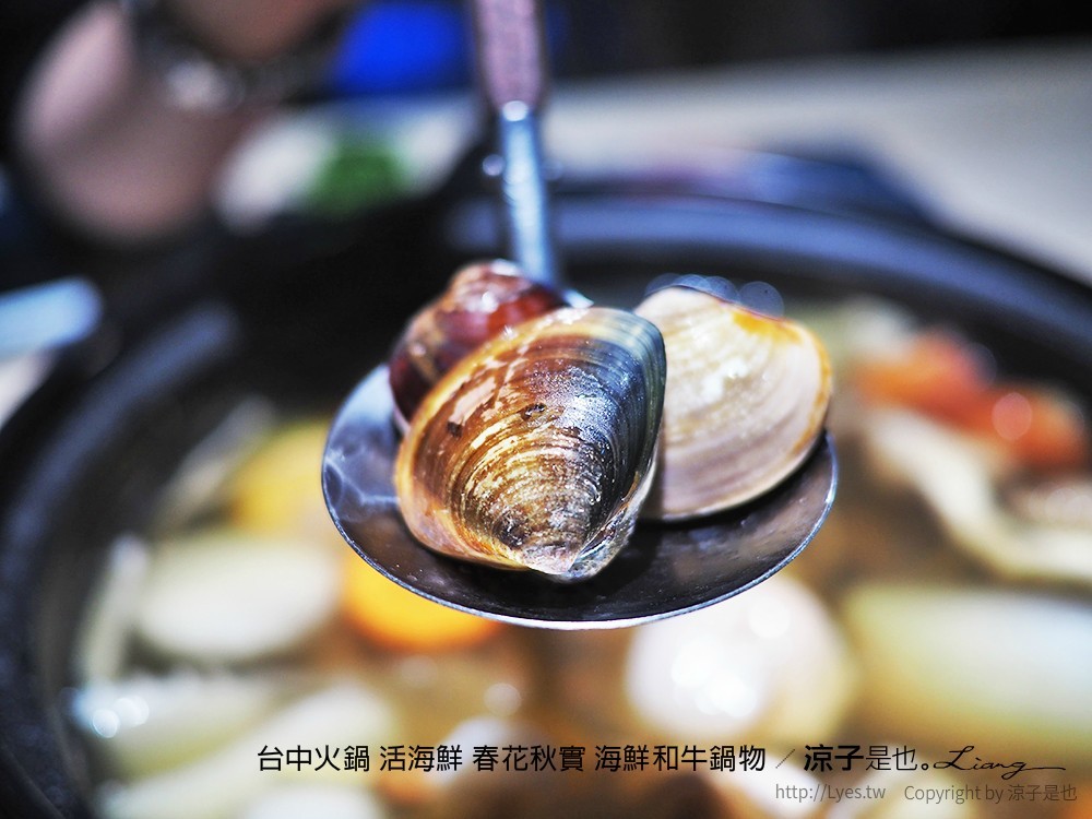 台中火鍋 活海鮮 春花秋實 海鮮和牛鍋物