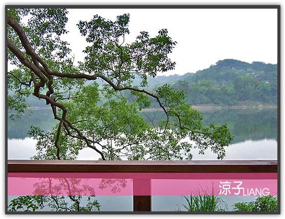 薰衣草森林 明德店12