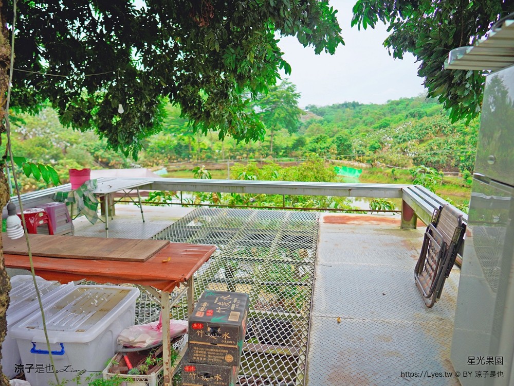 星光 親子景點 免費採果活動 台南農場 台南露營 diy 採芒果體驗 自然的鬥士