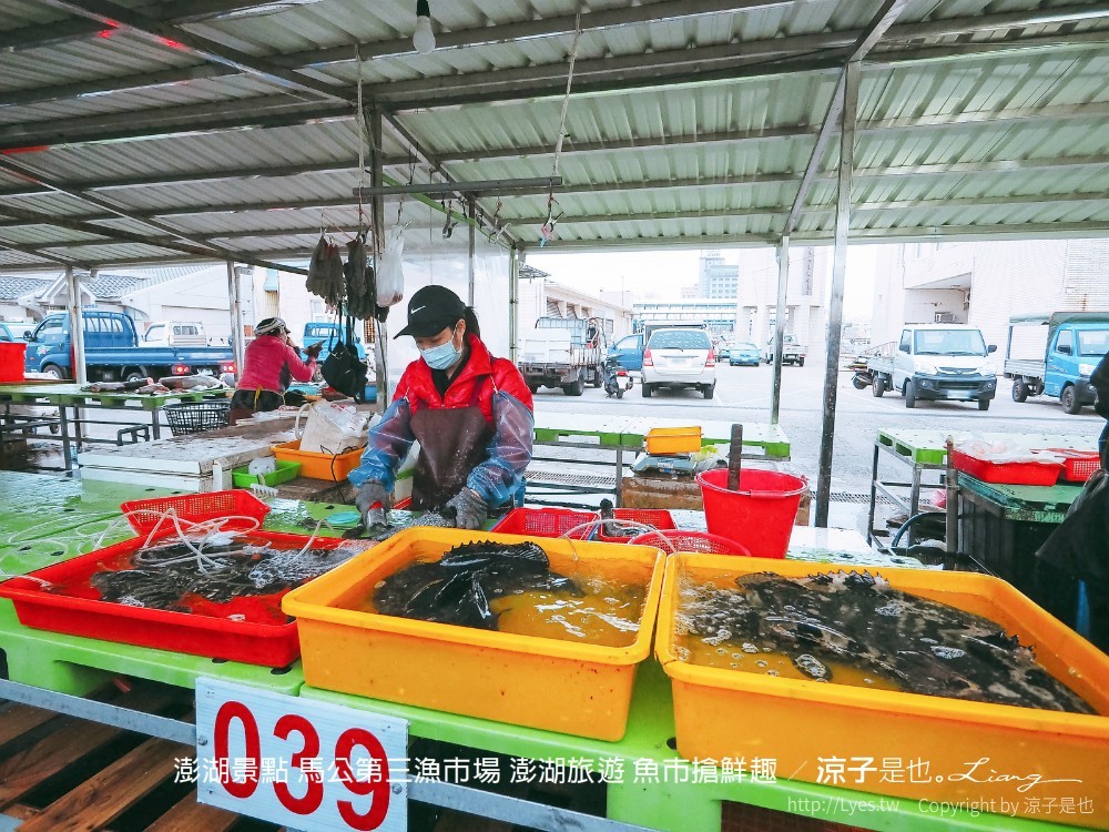 澎湖景點 馬公第三漁市場 澎湖旅遊 魚市搶鮮趣