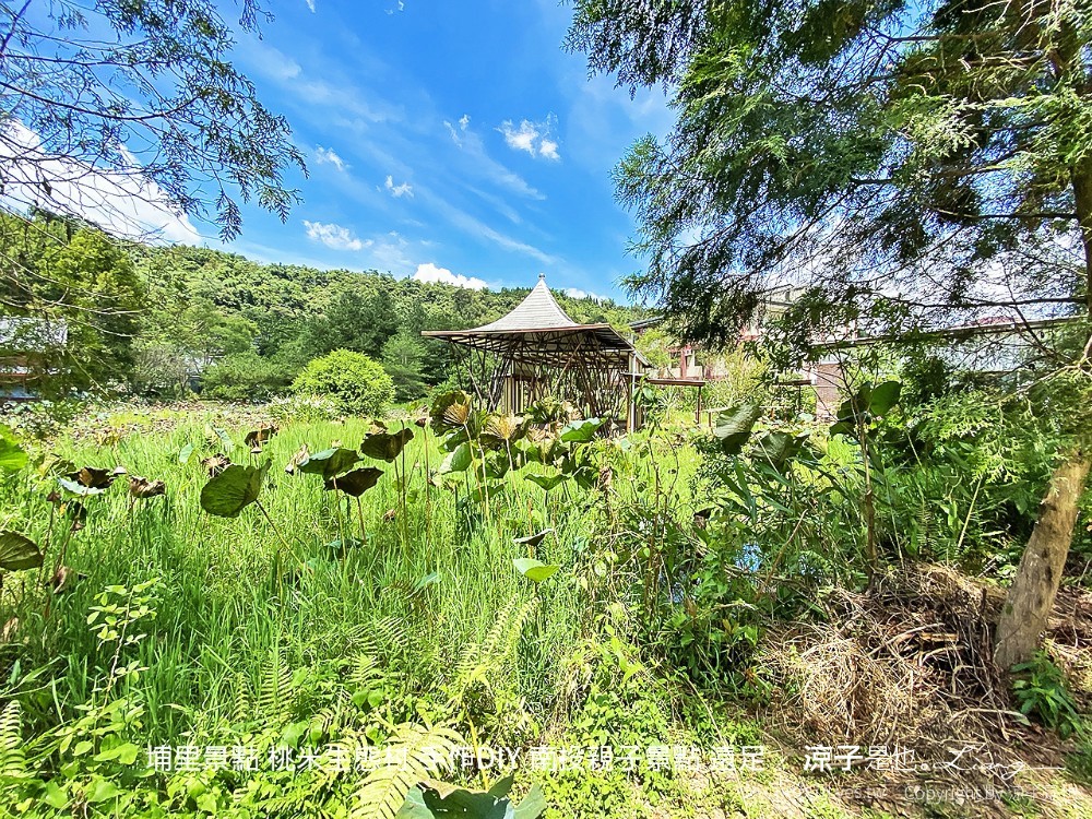 埔里景點 桃米生態村 手作diy 南投親子景點 遠足