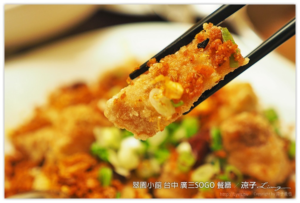 翠園小館 台中 廣三SOGO 餐廳 - 涼子是也 blog