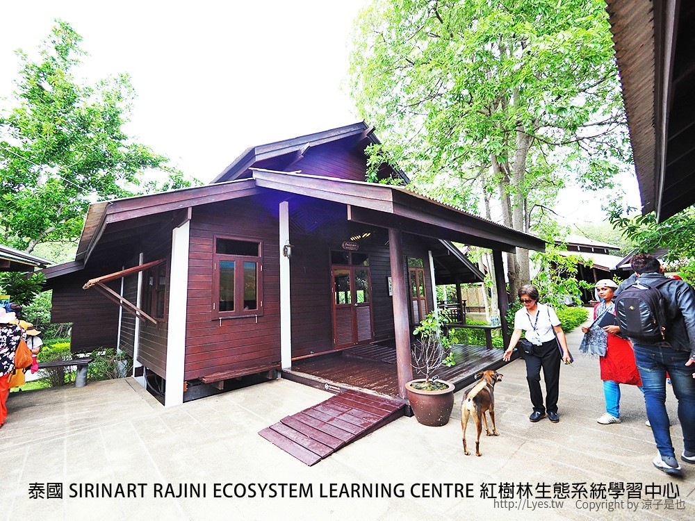 泰國 SIRINART RAJINI ECOSYSTEM LEARNING CENTRE 紅樹林生態系統學習中心