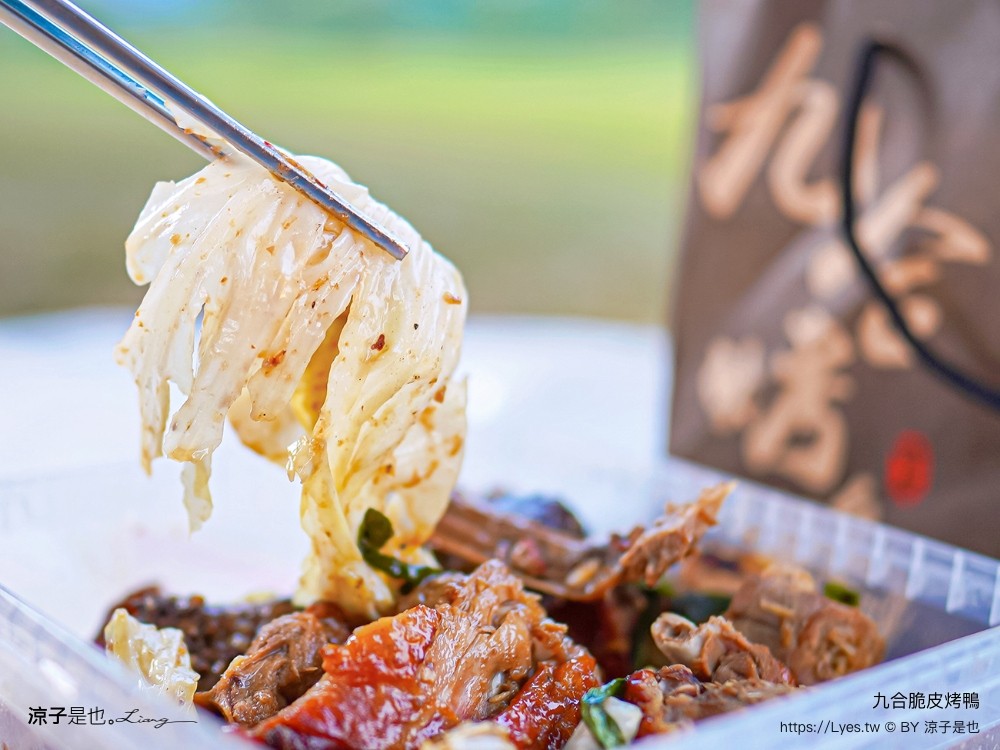 九合脆皮烤鴨 埔里 炒鴨架 高麗菜 片鴨 酸白菜鴨湯 南投外帶美食 露營野餐 旅遊美食推薦