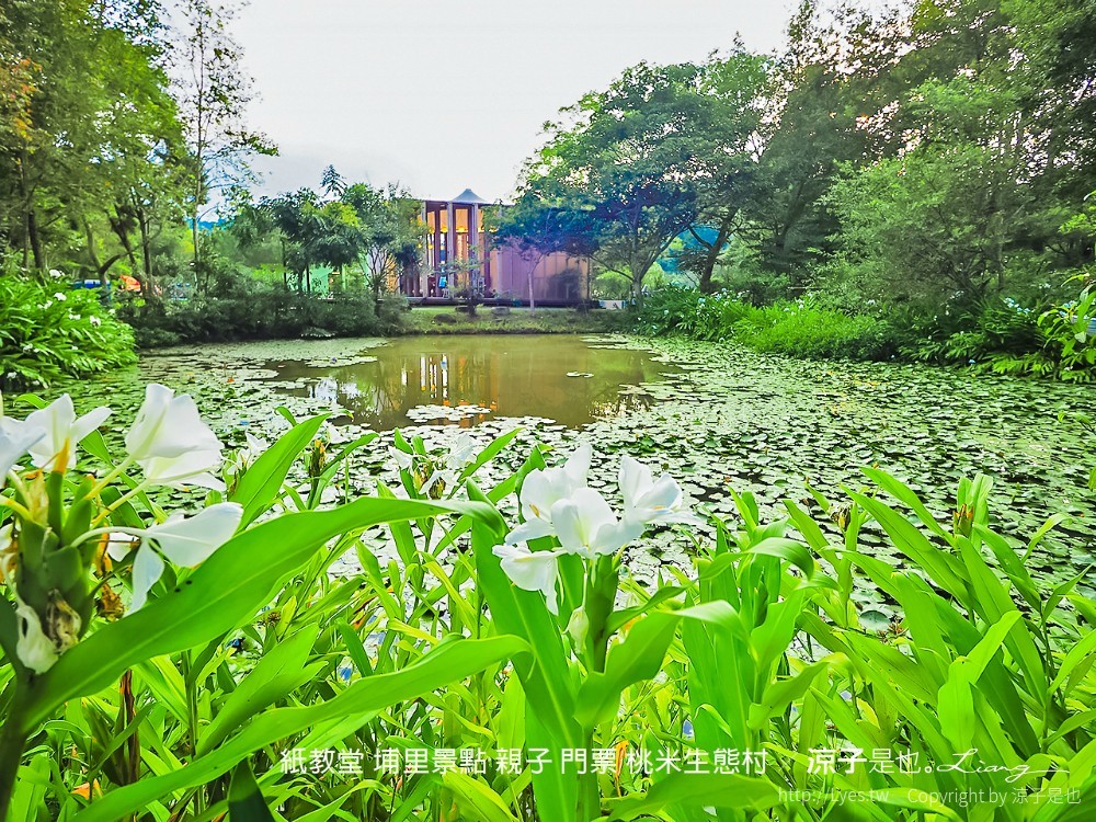 紙教堂 埔里景點 親子 門票 桃米生態村