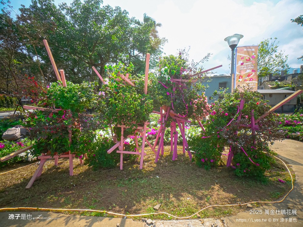 萬金杜鵑花展2025 金山中山溫泉公園 新北景點 北海岸活動 交通 展期 花藝造景 打卡必拍 懶人包