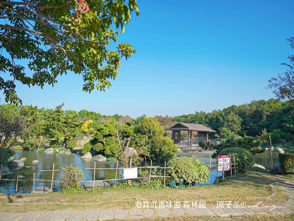 澄霖沉香味道森林館 雲林景點 愛心落羽松 湖畔步道 水之教堂 台版兼六園