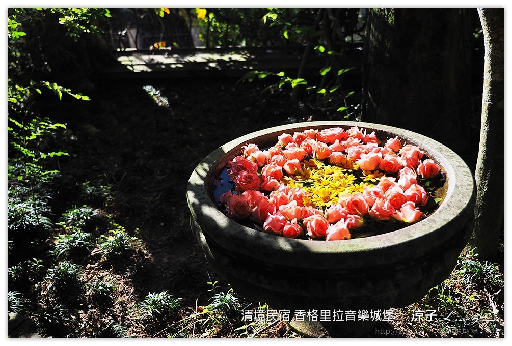 清境民宿 香格里拉音樂城堡 - 涼子是也 blog