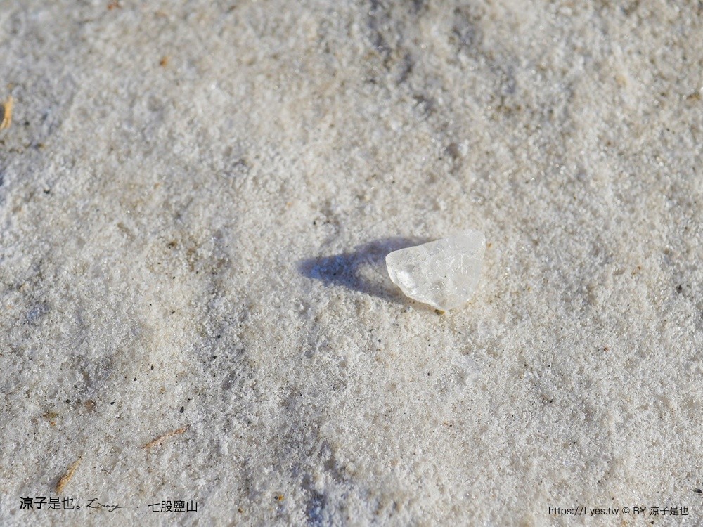 七股鹽山 台南景點 台南親子景點 七股一日遊 鹽罐DIY 寵物友善