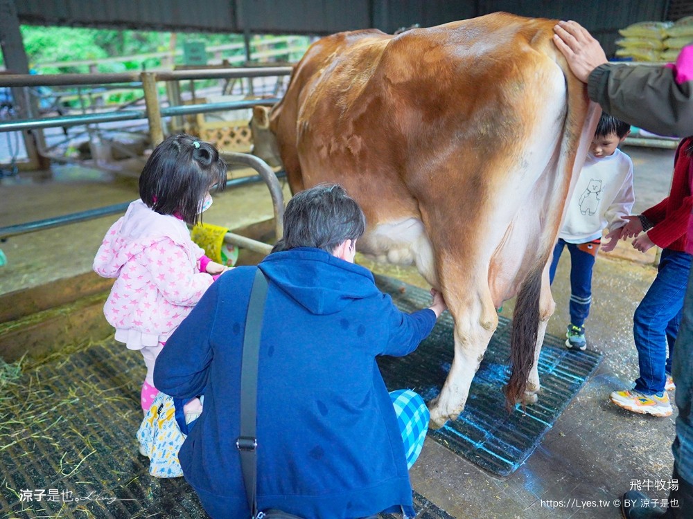 苗栗 飛牛牧場住宿 房型 早餐 四人房 2天1夜 園區門票 票價 苗栗親子飯店推薦