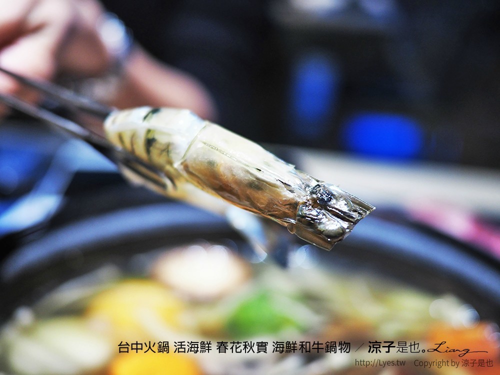 台中火鍋 活海鮮 春花秋實 海鮮和牛鍋物