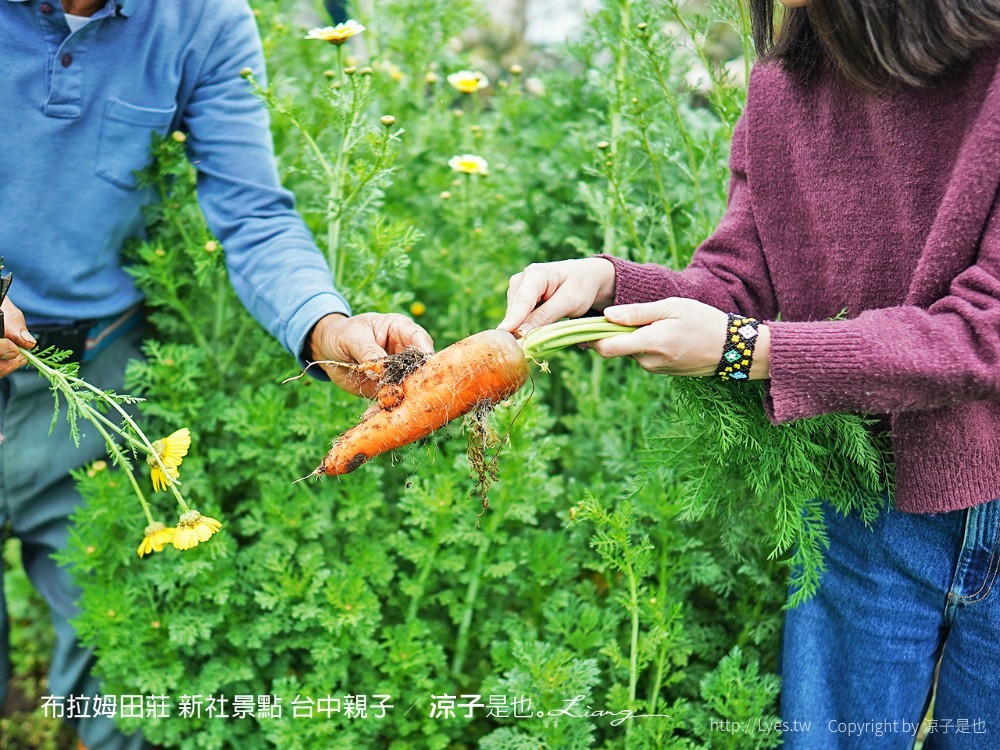 布拉姆田莊 新社景點 台中親子景點 新社美食 親子DIY 台中景點 台中親子景點 DIY活動