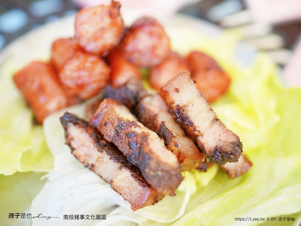 南投名間親子生態園區 南投親子公園 彩虹溜滑梯 盪鞦韆 免門票親子景點 野餐 天空步道 2022重新開幕