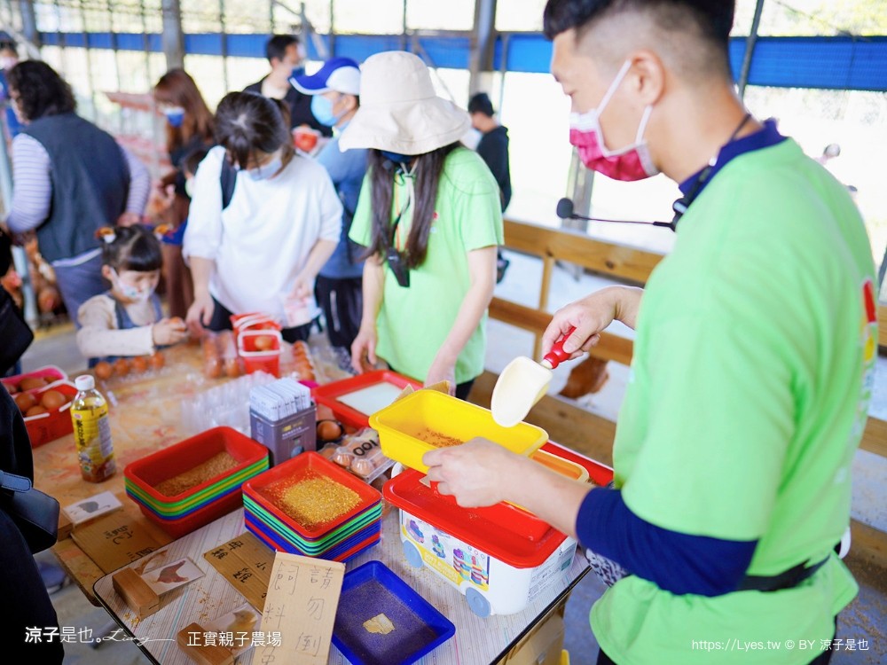 正實親子農場 門票 彰化 親子景點 撿雞蛋 氣墊樂園 溜滑梯 免費 餵小動物體驗 沙坑