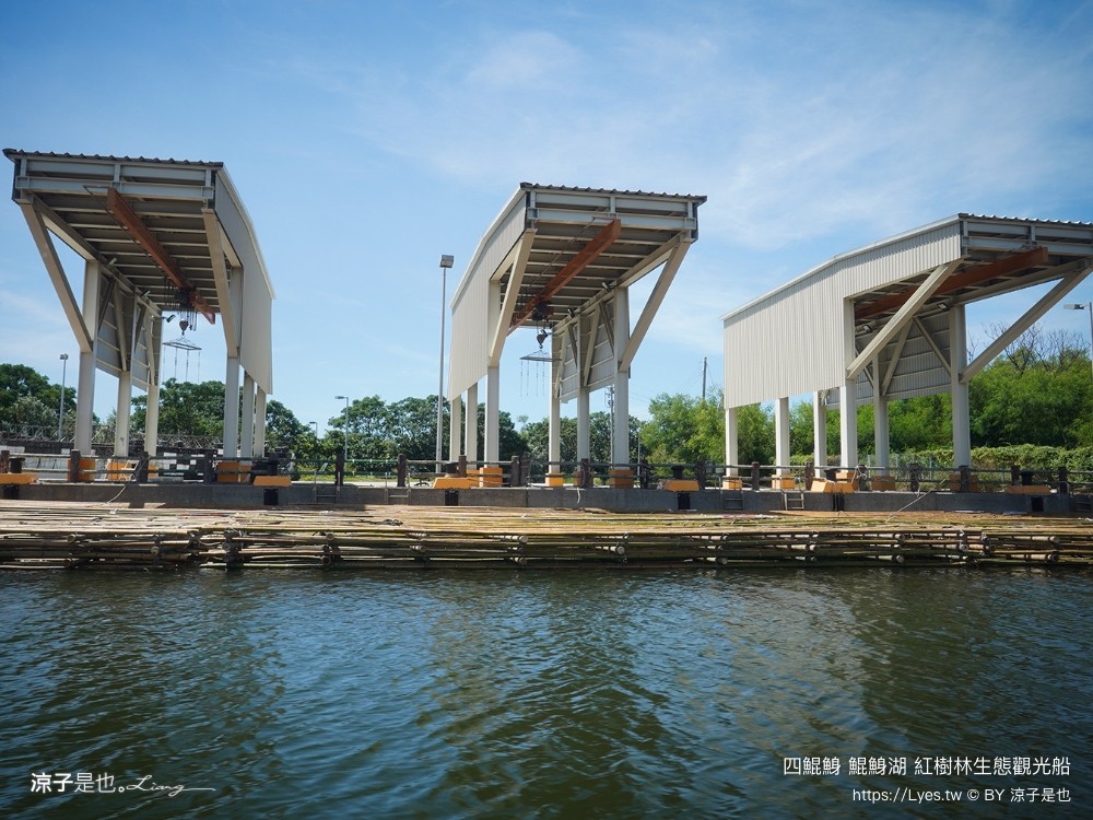 四鯤鯓鯤鯓湖紅樹林生態觀光船 台南親子景點 台南紅樹林 台南新景點 台南一日遊 生態旅遊 蚵殼diy體驗 導覽觀光船