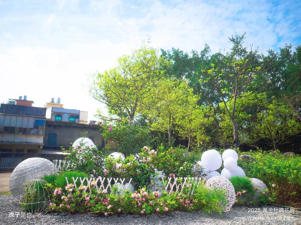萬金杜鵑花展2025 金山中山溫泉公園 新北景點 北海岸活動 交通 展期 花藝造景 打卡必拍 懶人包