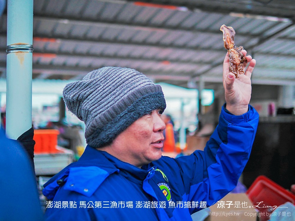 澎湖景點 馬公第三漁市場 澎湖旅遊 魚市搶鮮趣