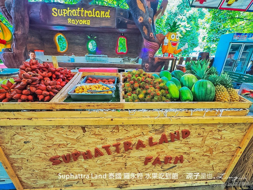 suphattra land 泰國 羅勇府 水果吃到飽