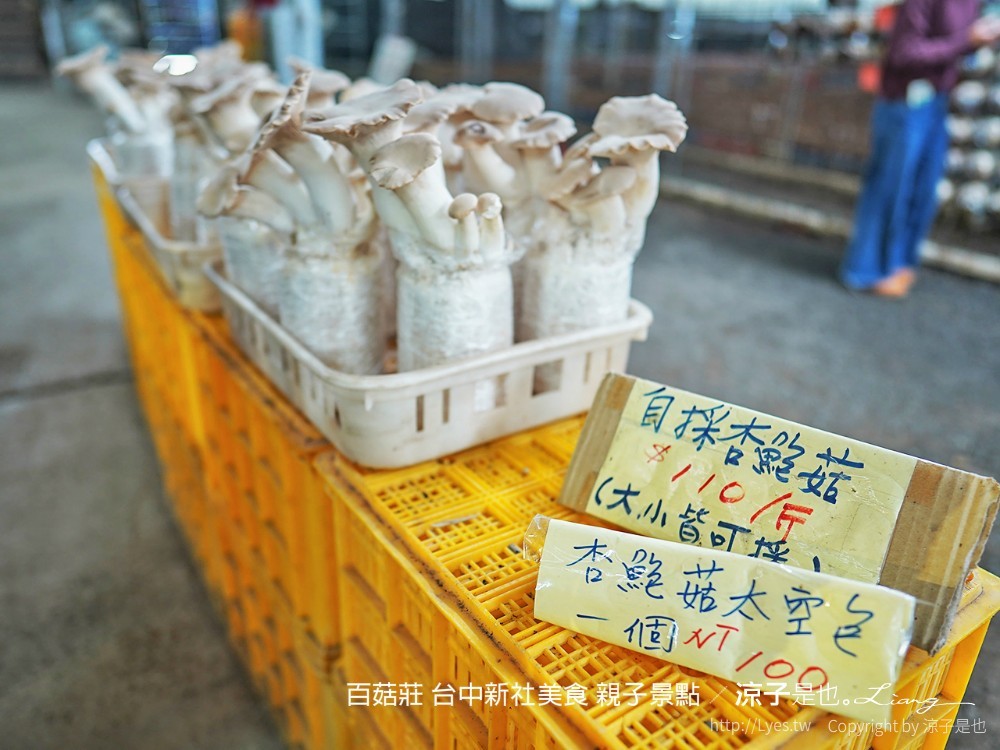 百菇莊 台中新社美食 親子景點