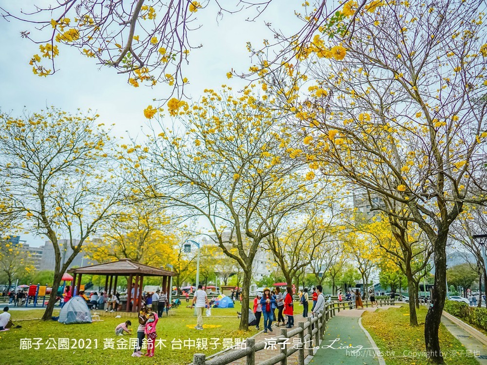 廍子公園2021 黃金風鈴木 台中親子景點