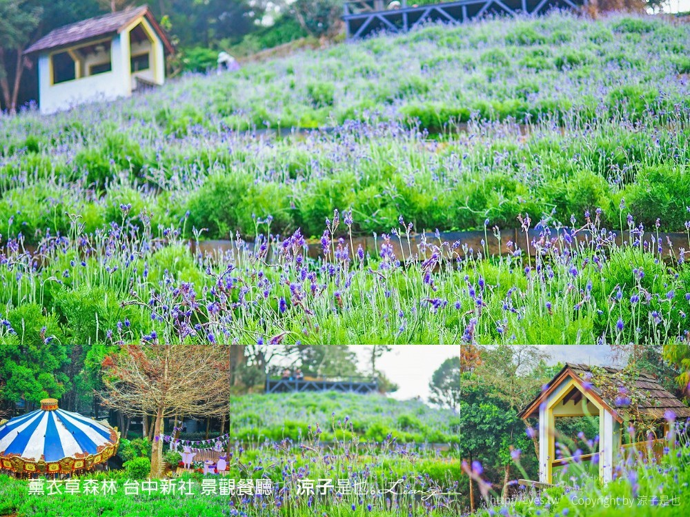 薰衣草森林 台中新社 景觀餐廳