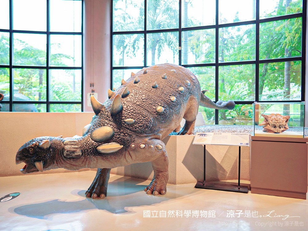 台中科博館 台中室內親子景點 國立自然科學博物館 線上購票 交通 美食 恐龍侏儸紀公園 iCoBo 手機app i科博