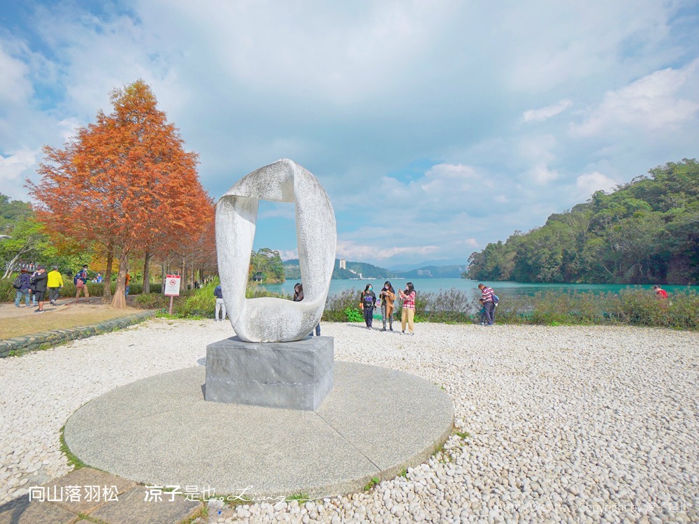向山落羽松 日月潭自行車道 湖畔 落羽松步道 日月潭景點推薦 IG打卡 南投親子