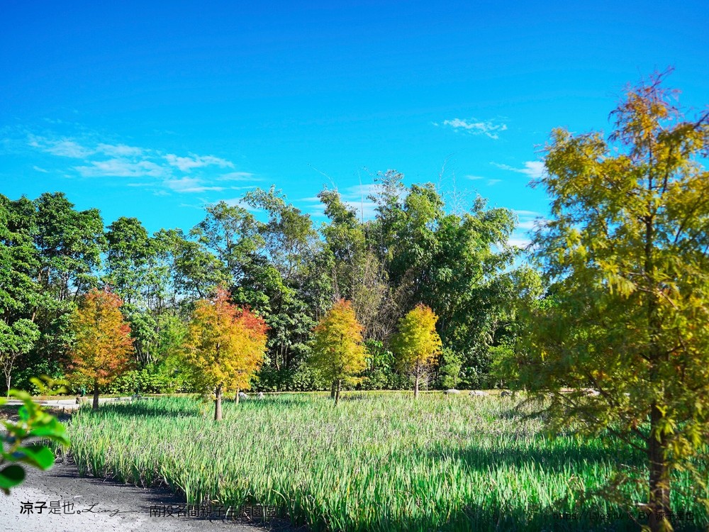 南投名間親子生態園區 南投親子公園 彩虹溜滑梯 盪鞦韆 免門票親子景點 野餐 天空步道 重新開幕