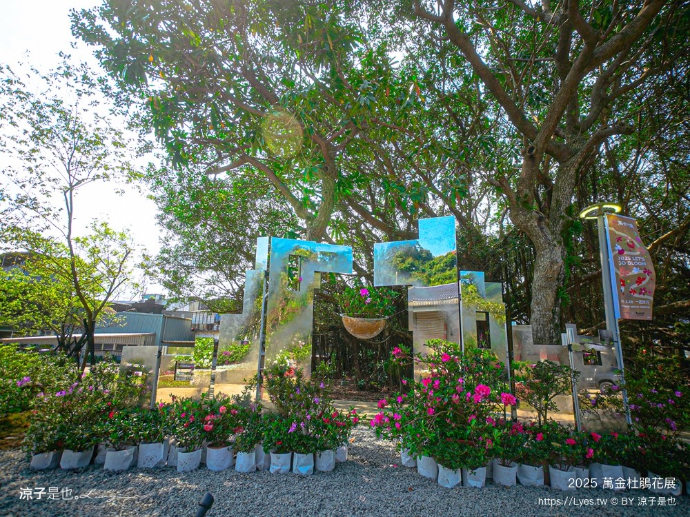萬金杜鵑花展2025 金山中山溫泉公園 新北景點 北海岸活動 交通 展期 花藝造景 打卡必拍 懶人包