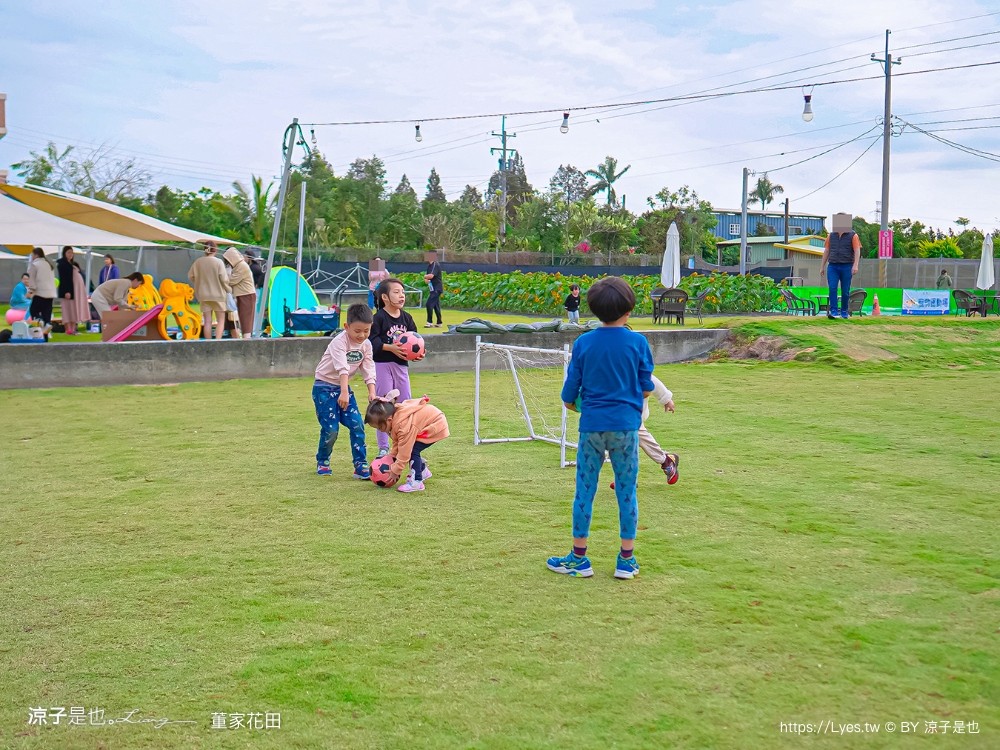 董家花田 菜單 門票 景點 彰化景點 田尾景觀餐廳 花海 戶外野餐 咖啡 交通